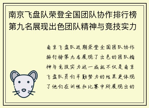 南京飞盘队荣登全国团队协作排行榜第九名展现出色团队精神与竞技实力 - 副本